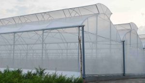 Những điều cần biết về nhà màng nông nghiệp