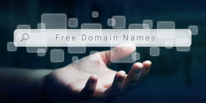 Có nên đăng ký tên miền miễn phí vĩnh viễn không?