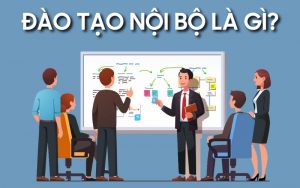 đào tạo nội bộ là gì